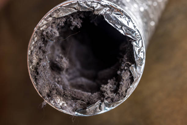 Best Residential Air Duct Cleaning  in Rutledge, TN